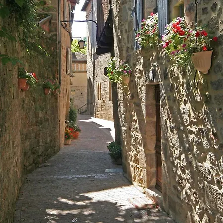 The Originals Access, Figeac
