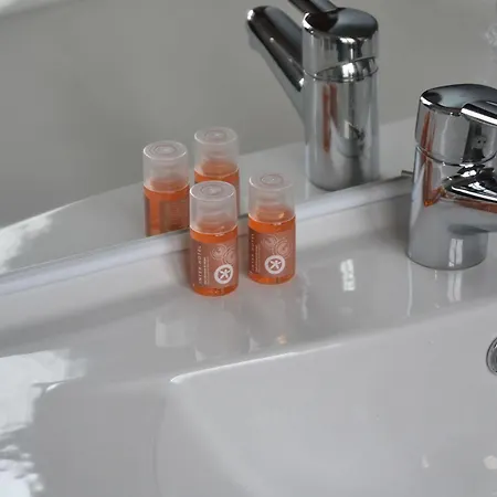 酒店 The Originals Access, 2*